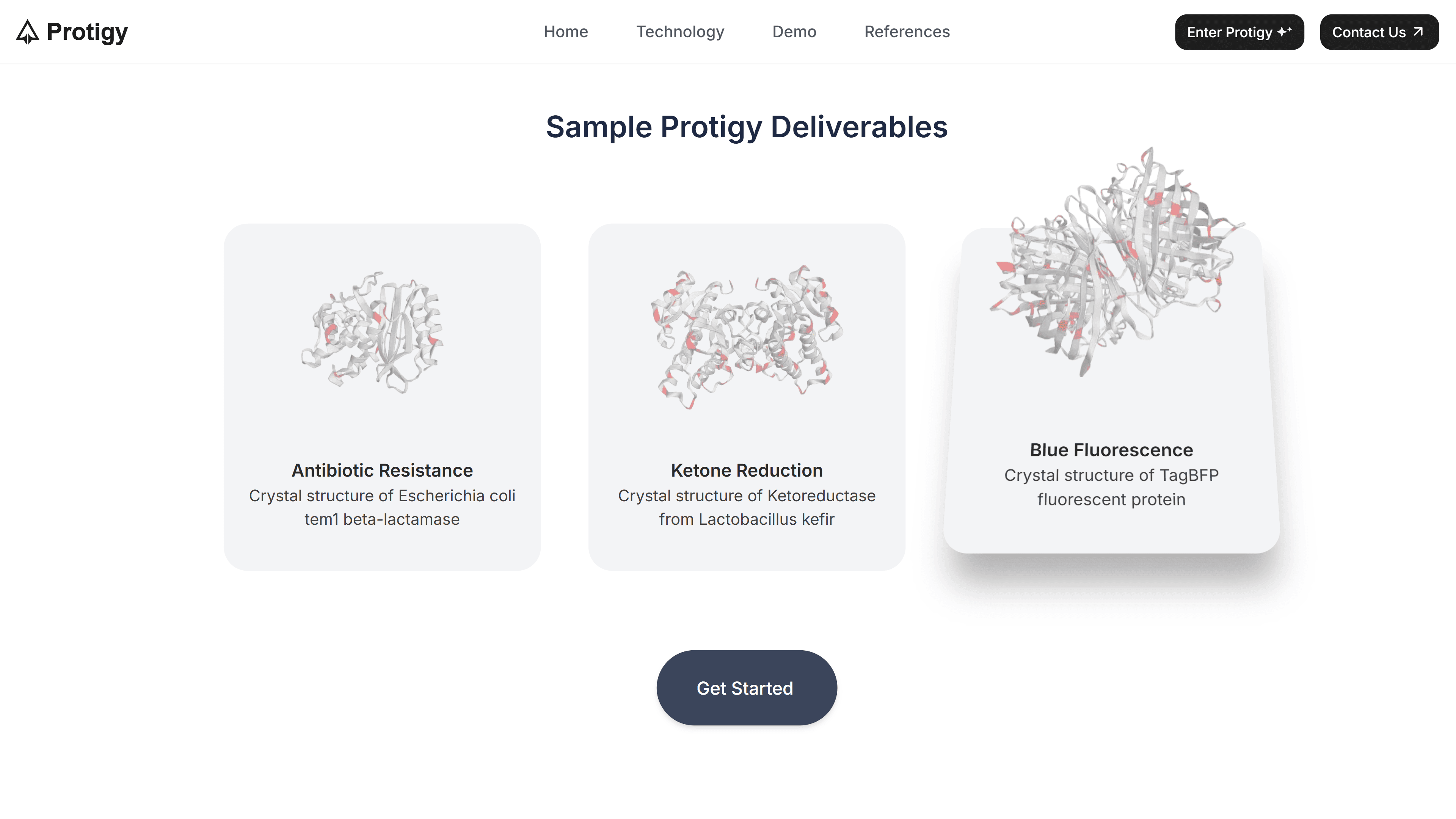 Protigy